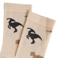 Dinosaurusi čarape
