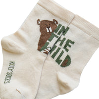 Socks bear in the wild